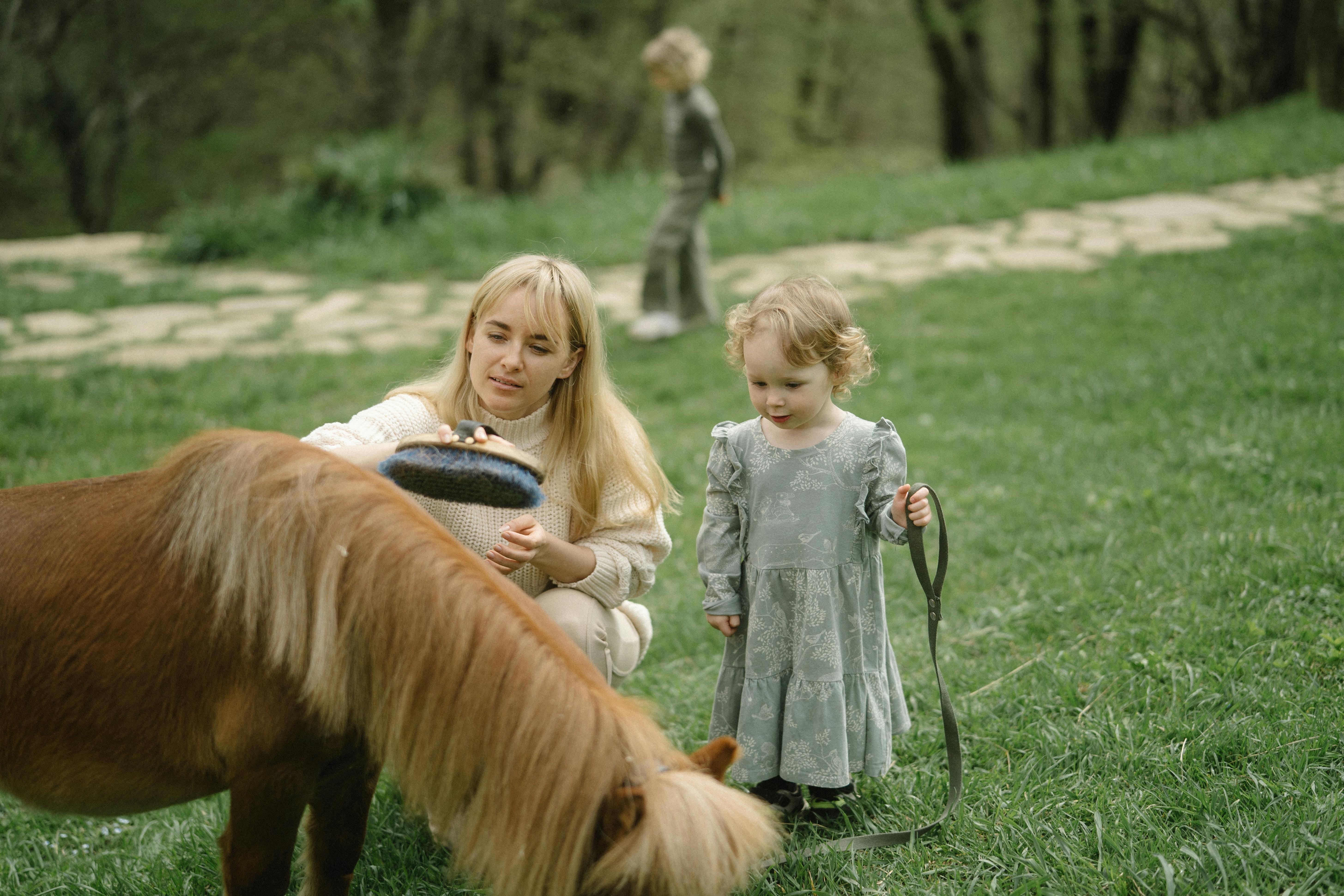 photo of family brushing pony's hair