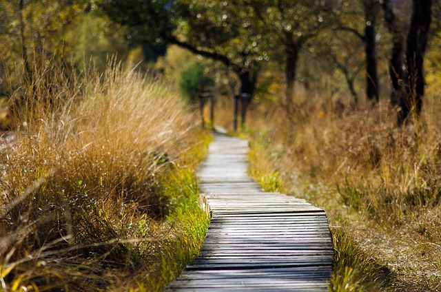 image of a wooden track